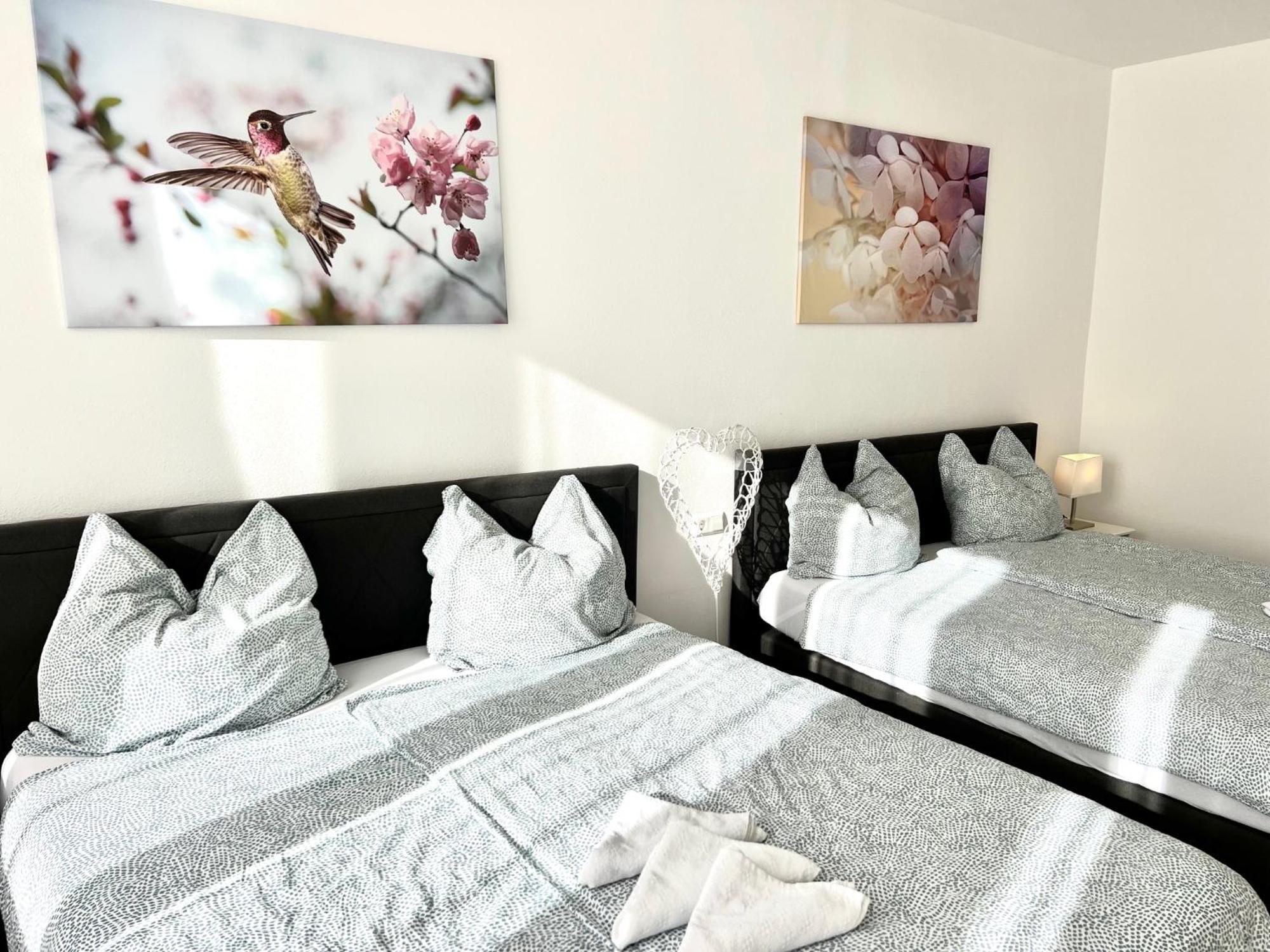 Apartment Kueche,bad, Parken Im Zentrum Von Ravensburg